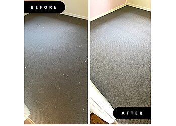 The Carpet Cleaning and Pest Control King