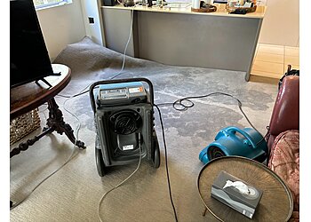 The Carpet Surgeon Gold Coast