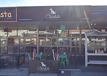 The Chocolate Labrador