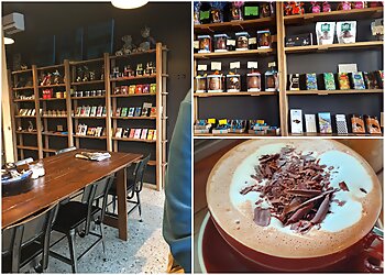 The Chocolate Labrador