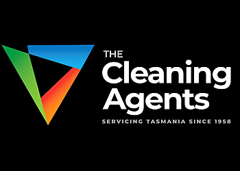 The Cleaning Agents The Cleaning Agents