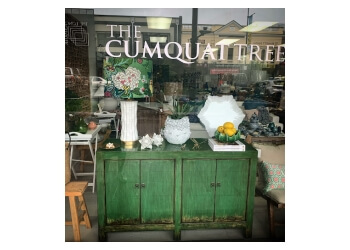 The Cumquat Tree