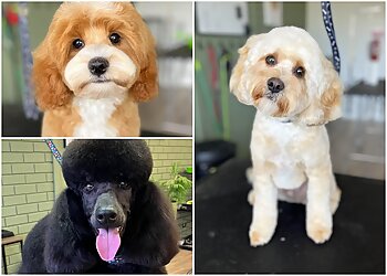 The Dog House Grooming Salon