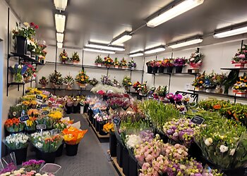 The Fresh Flower Market Warrnambool
