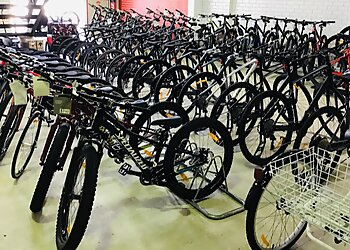 The Full Cycle Of Albury