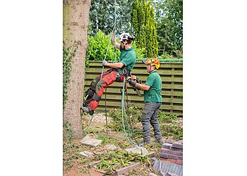 The Garden Guru & Mowing