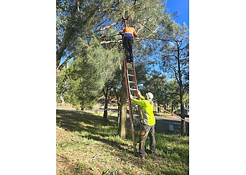 The Garden Guru & Mowing