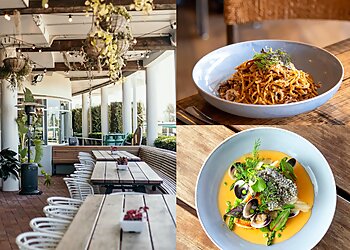 The Growers by Ponte