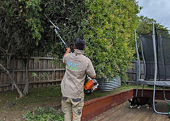 The Hobart Gardeners