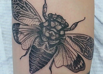 The Painted Ape Tattoo Studio