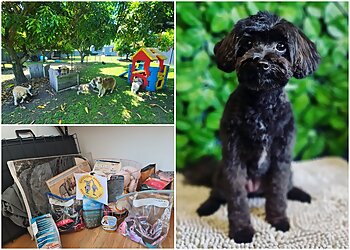 The Salty Dog Grooming and daycare