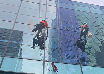 The Squeegee Squad Window Cleaning