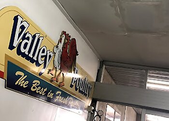 The Valley Painting & Restoration