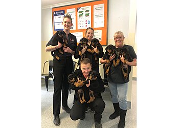 The Vet Group Wollaston Clinic