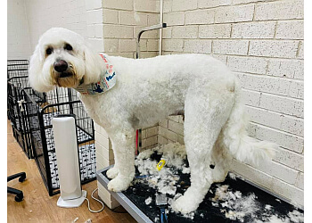 The fancy flea dog grooming studio