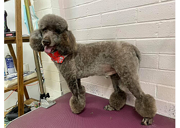 The fancy flea dog grooming studio