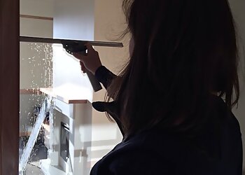 Thompson's Window & Solar Panel Cleaning Services