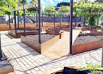 Tim Cannon Landscapes