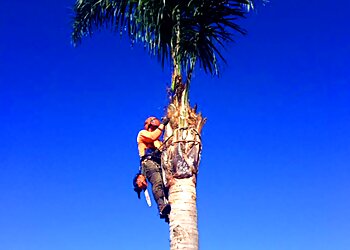 Tiny's Tree Services