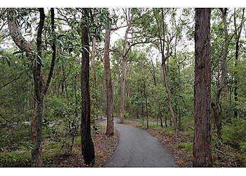 Brisbane Hiking Trails Toohey Forest Park image 1