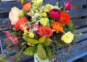 Toowoomba Flower Market