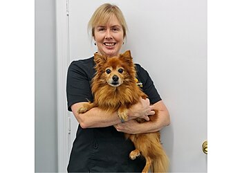 Toowoomba Vet Surgery