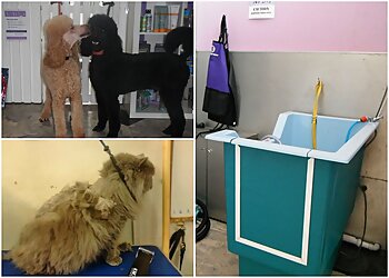 Top Dog Grooming
