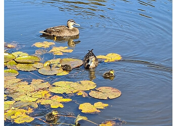 Traralgon Railway Reservoir Conservation Reserve
