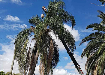 TreeBiz Tree Services