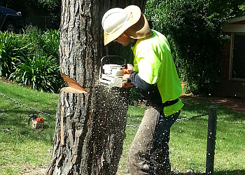 TreeBiz Tree Services