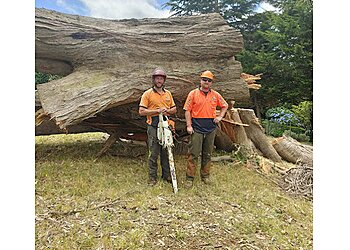 Tree Doctor Tasmania