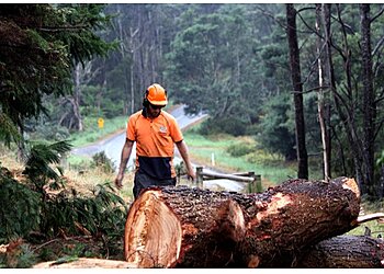 Tree Doctor Tasmania