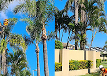 Tree Lopping Gold Coast