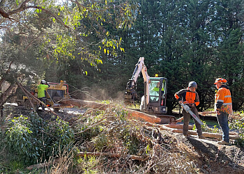 Tree Mason Gippsland