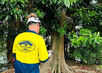 Sunshine Coast Tree Services Treesafe Australia Pty Ltd. image 1