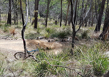 Trevallyn State Recreation Area