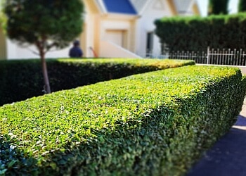 Trusted Garden Maintenance