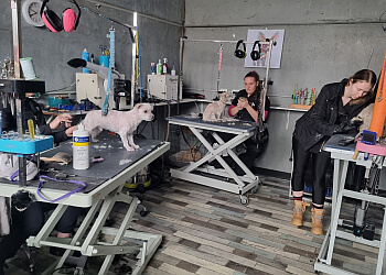 Turners & Pooch Pet Salon