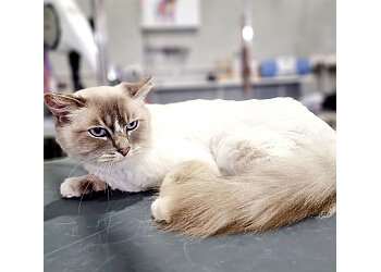 Turners & Pooch Pet Salon