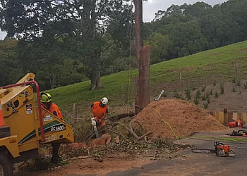 Tweed Valley Tree Services