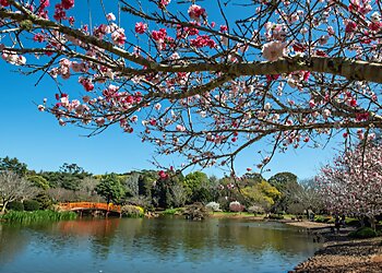 Toowoomba Places To Visit UniSQ Japanese Garden image 1