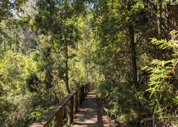 Uralla Nature Reserve