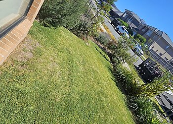 Sydney Lawn Care Services Valenti & Sons Lawn Mowing  image 1