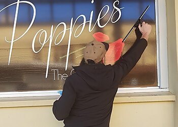 Vibrant Window Cleaning