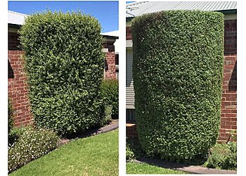 Victoria Mowing Services