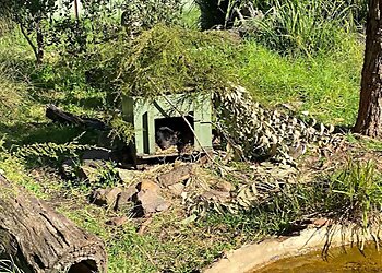 Walkabout Wildlife Sanctuary