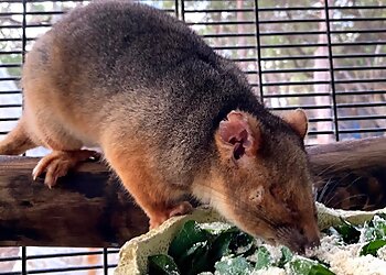 Walkabout Wildlife Sanctuary