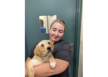 Warrnambool Veterinary
