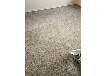 Wayne's Carpet Cleaning