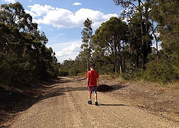 3 Best Hiking Trails in Maitland, NSW - Expert Recommendations